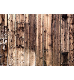 Mural de parede - Poetry Of Wood