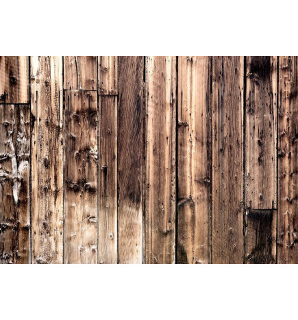 34,00 € Foto tapete - Poetry Of Wood