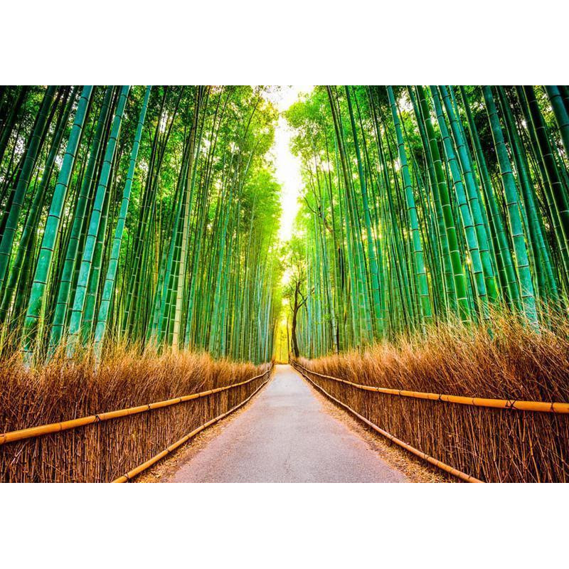 34,00 € Fotobehang - Bamboo Forest