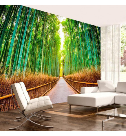 Mural de parede - Bamboo Forest