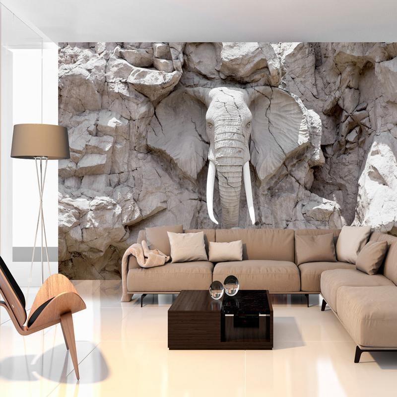 34,00 € Wall Mural - The Bridge of Time (South Africa)