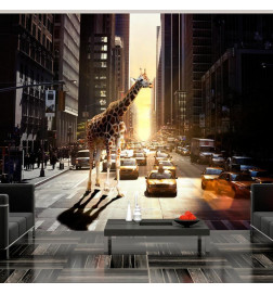 Fototapeet - Giraffe in the big city