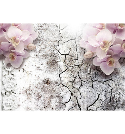 Wall Mural - Bright red orchids