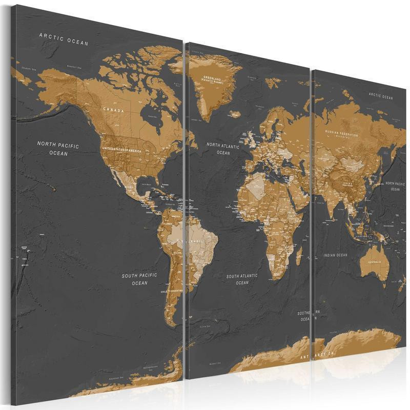 61,90 € Canvas Print - World Map: Modern Aesthetics