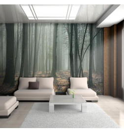 73,00 € Wall Mural - Witches forest
