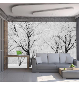 73,00 €Papier peint - Trees - winter landscape