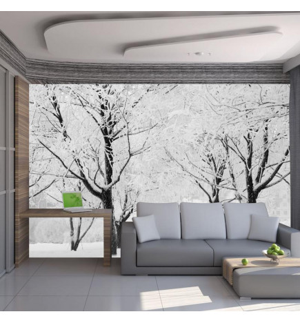 Mural de parede - Trees - winter landscape