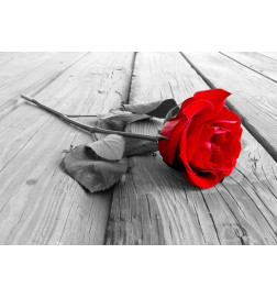 Foto tapete - Abandoned Rose