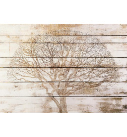 Fotobehang - Tree on Boards