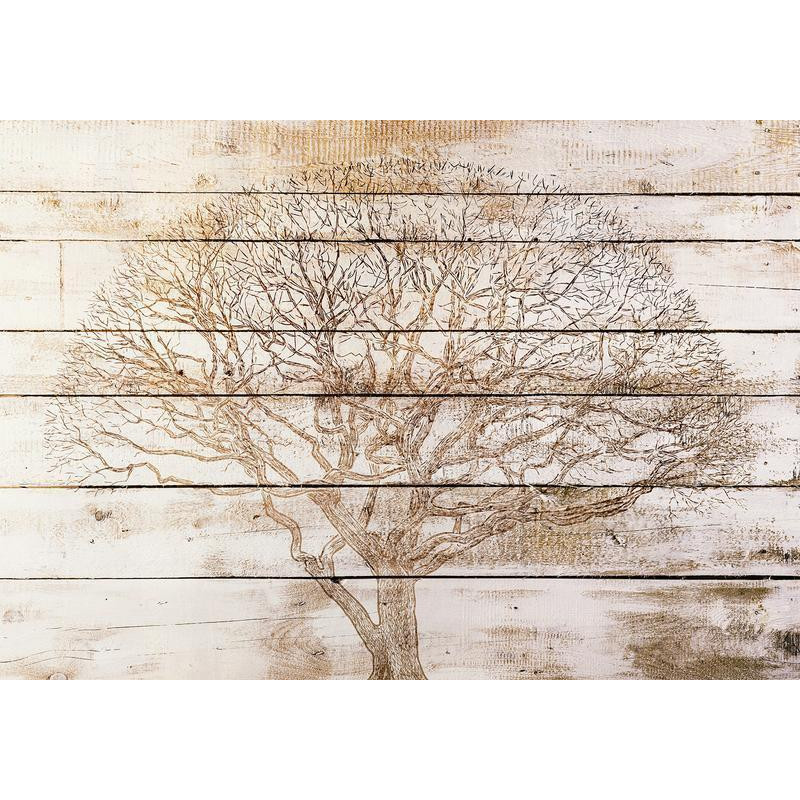 34,00 € Fotobehang - Tree on Boards