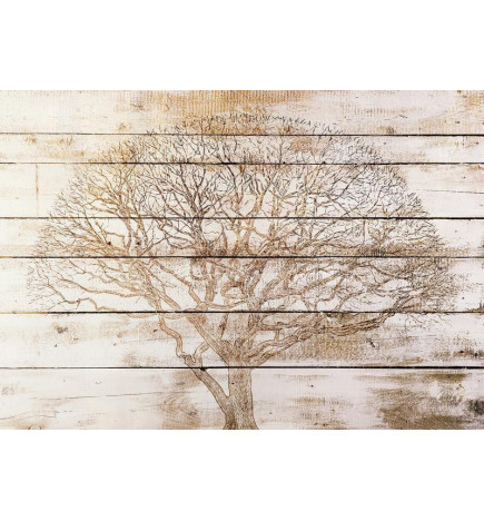 Fototapet - Tree on Boards