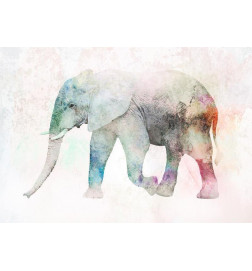 Fototapeta - Painted Elephant