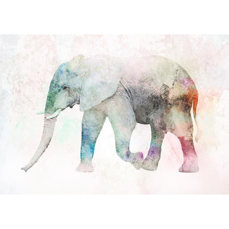 34,00 €Papier peint - Painted Elephant