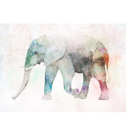 Carta da parati - Painted Elephant