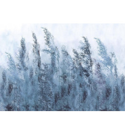 Fototapete - Tall Grasses - Grey