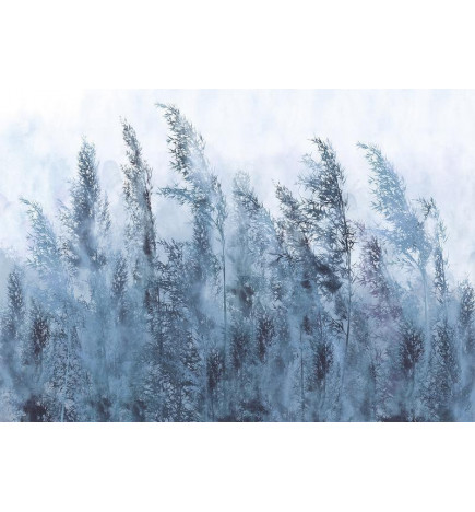 Fotobehang - Tall Grasses - Grey