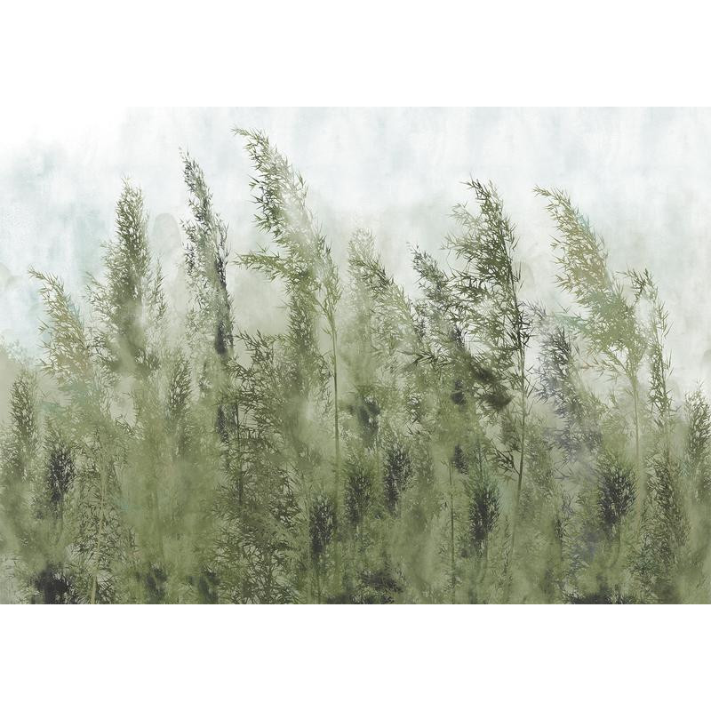 34,00 € Wall Mural - Tall Grasses - Green