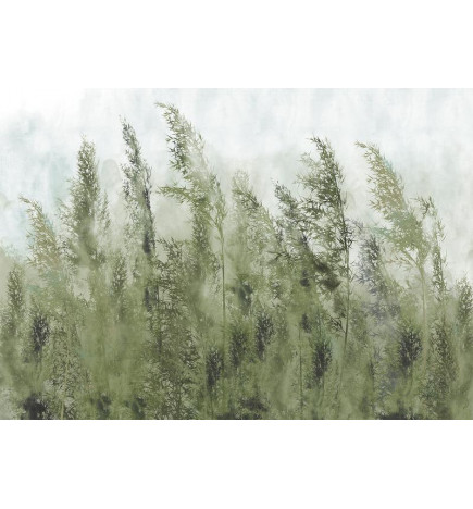 Fotobehang - Tall Grasses - Green