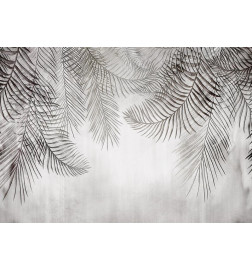 Foto tapete - Night Palm Trees