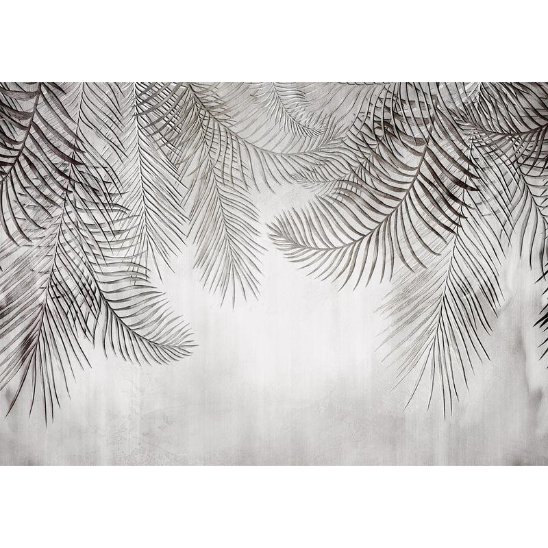 34,00 € Fotobehang - Night Palm Trees