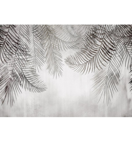 Fototapeta - Night Palm Trees