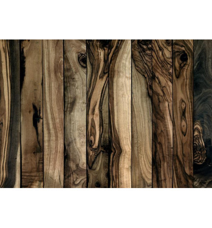 Wall Mural - Olive Wood