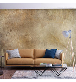 34,00 € Wall Mural - Golden Leaves of Time