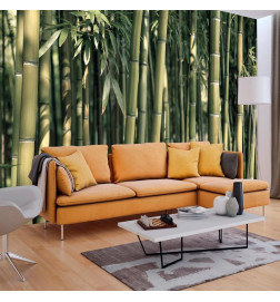 Fotobehang - Bamboo Exotic