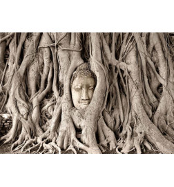 Fotobehang - Buddhas Tree