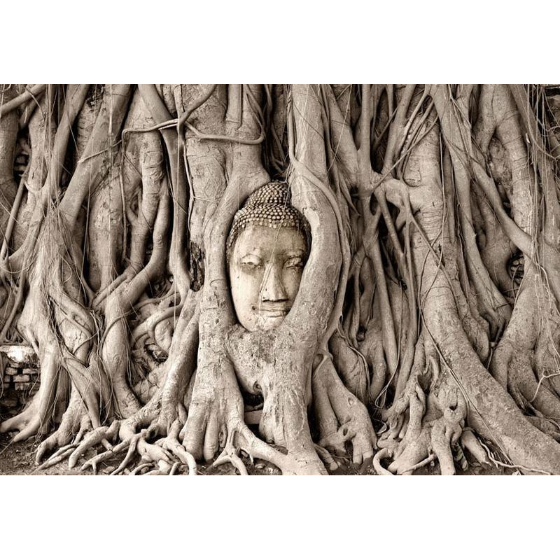 34,00 € Fotobehang - Buddhas Tree