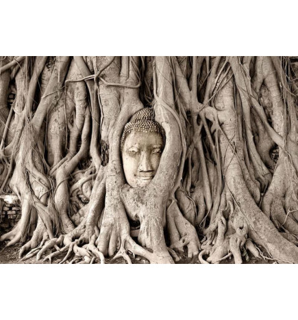 Carta da parati - Buddhas Tree