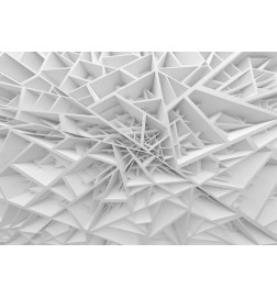 Fotobehang - White Spiders Web