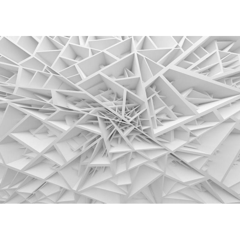 40,00 € Fotobehang - White Spiders Web