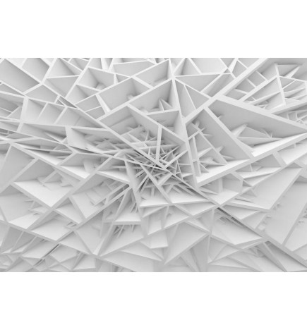 Wall Mural - White Spiders Web