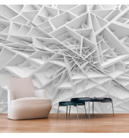 Wall Mural - White Spiders Web