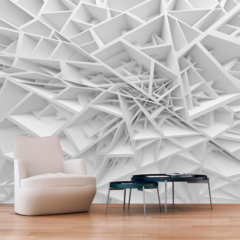 40,00 € Wall Mural - White Spiders Web