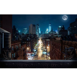 34,00 € Foto tapete - Sleepy New York