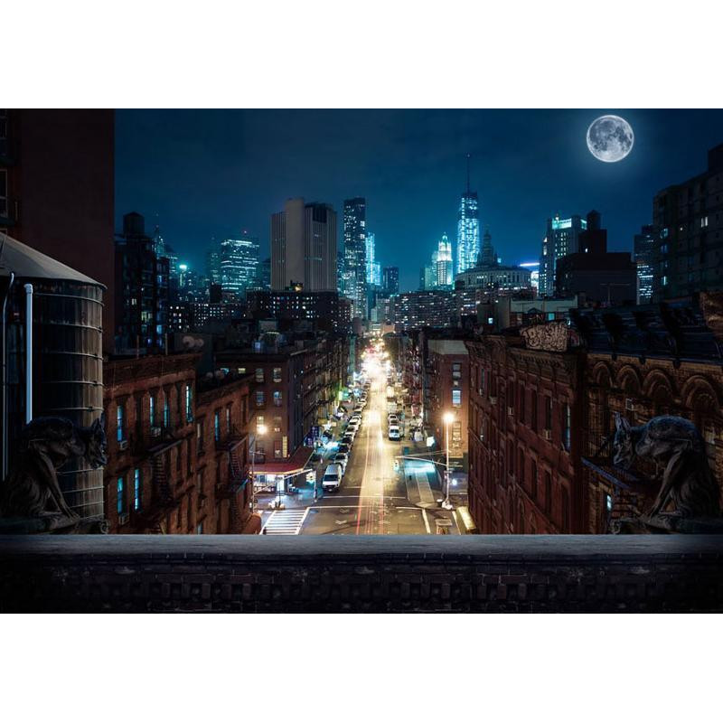 34,00 € Fototapet - Sleepy New York