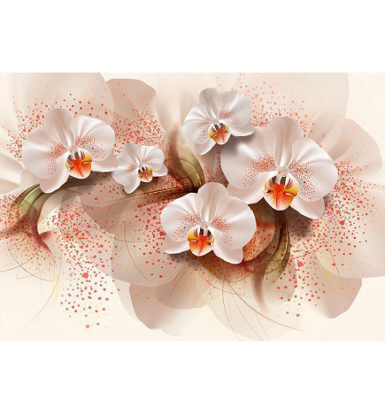 34,00 € Fotobehang - Pale yellow orchids
