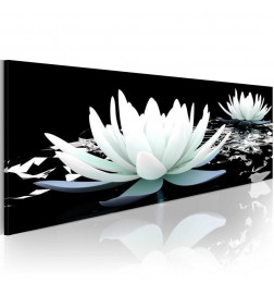 82,90 € Schilderij - Alabaster lilies