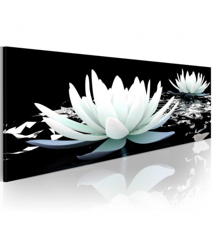 82,90 € Canvas Print - Alabaster lilies