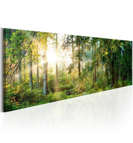 Canvas Print - Forest Shelter