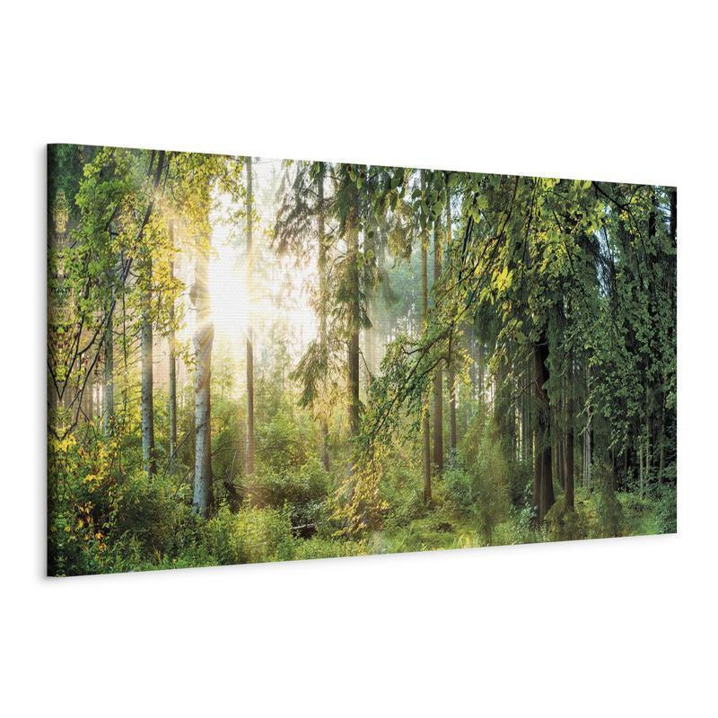 82,90 € Canvas Print - Forest Shelter