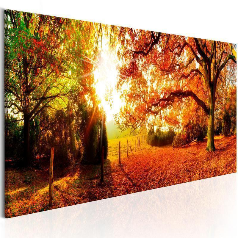 82,90 € Canvas Print - Magic of Autumn