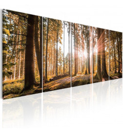 92,90 €Tableau - Beauty of Nature