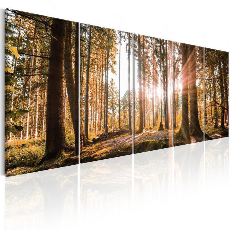 92,90 € Canvas Print - Beauty of Nature