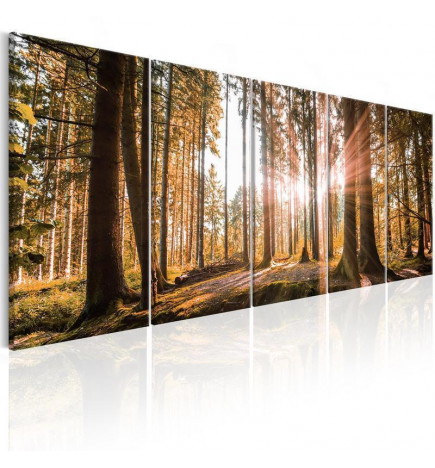 92,90 € Canvas Print - Beauty of Nature