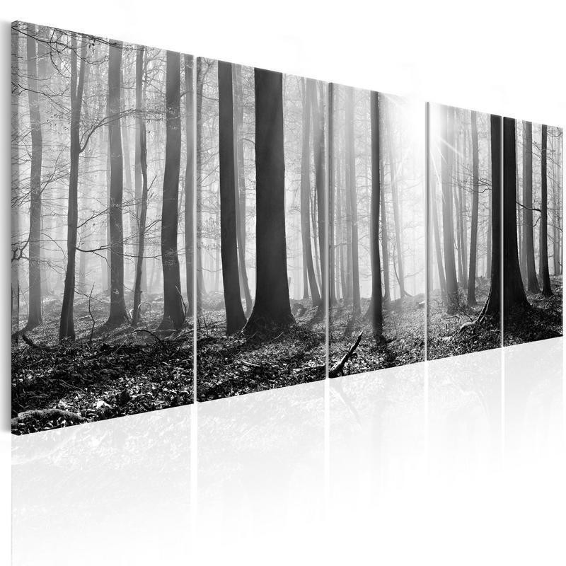 92,90 € Canvas Print - Monochrome Forest
