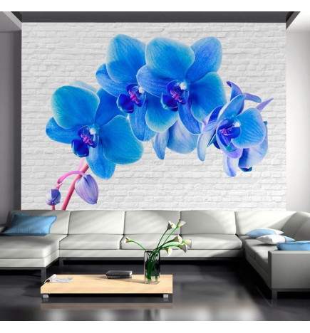 Wall Mural - Blue excitation
