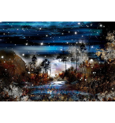 34,00 €Mural de parede - Night in the forest